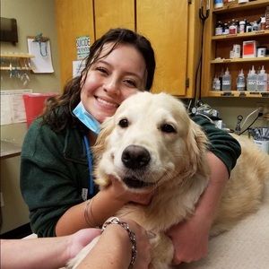 Meet your Posher, Alexis